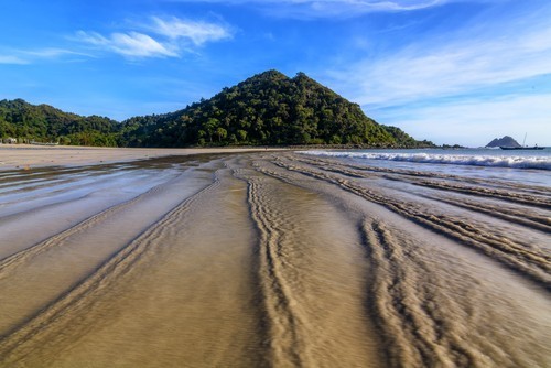 beach sea and tropical forest selong Belanak beach